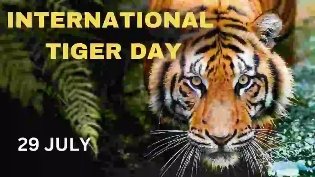 International Tiger Day