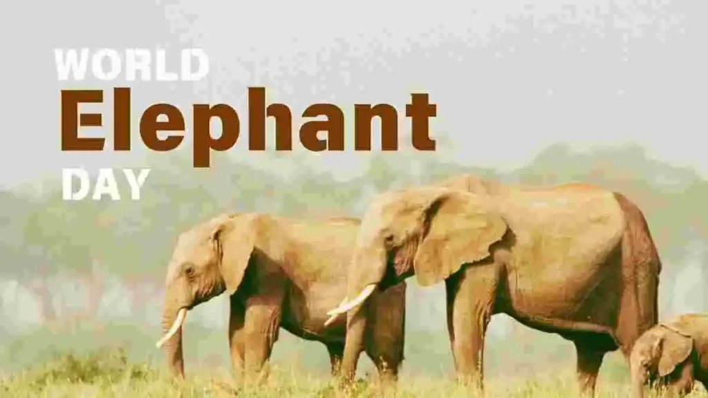 World Elephant Day