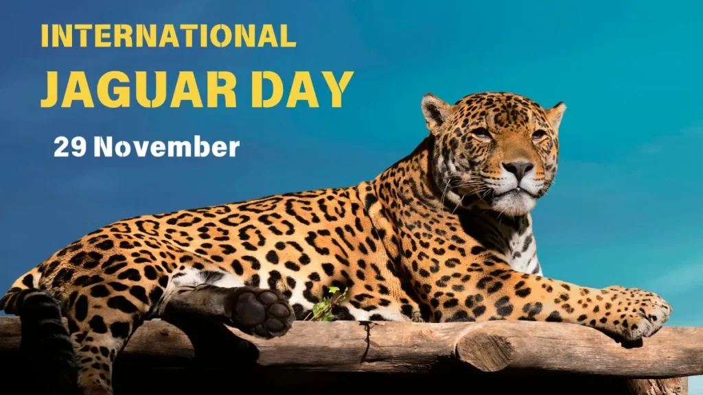 International Jaguar Day