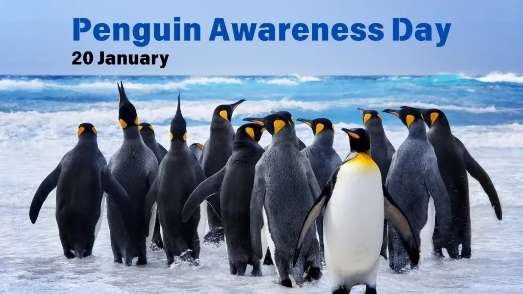 Penguin Awareness