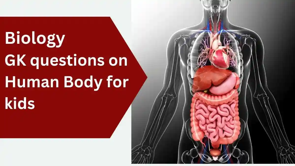 Read more about the article Exciting Biology GK Questions on Human Body for Kids with Answers – Quiz for Kids