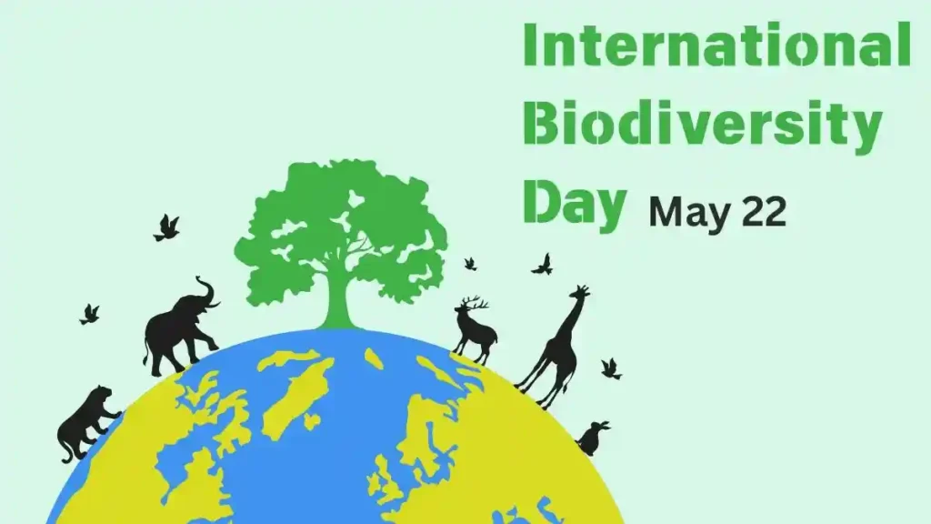 International Biodiversity Day