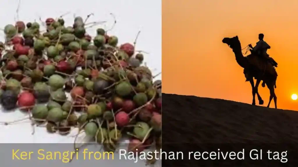 Ker Sangri from Rajasthan received GI tag